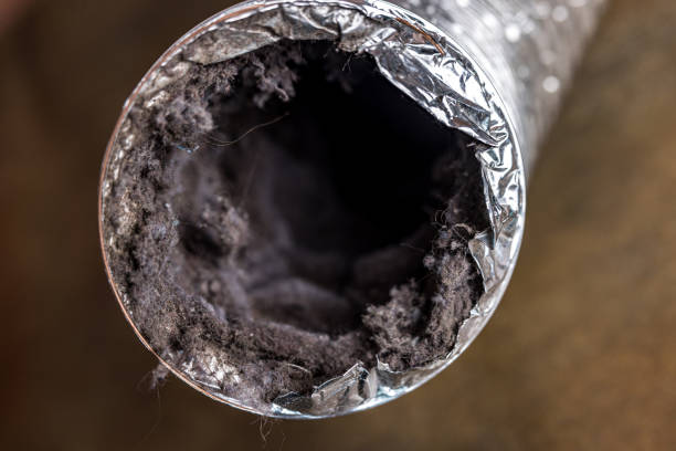 Best Affordable HVAC Duct Cleaning  in Guttenberg, NJ